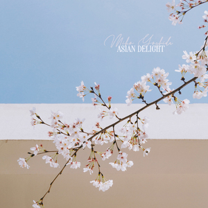 大学女生卖淫视频偷拍
